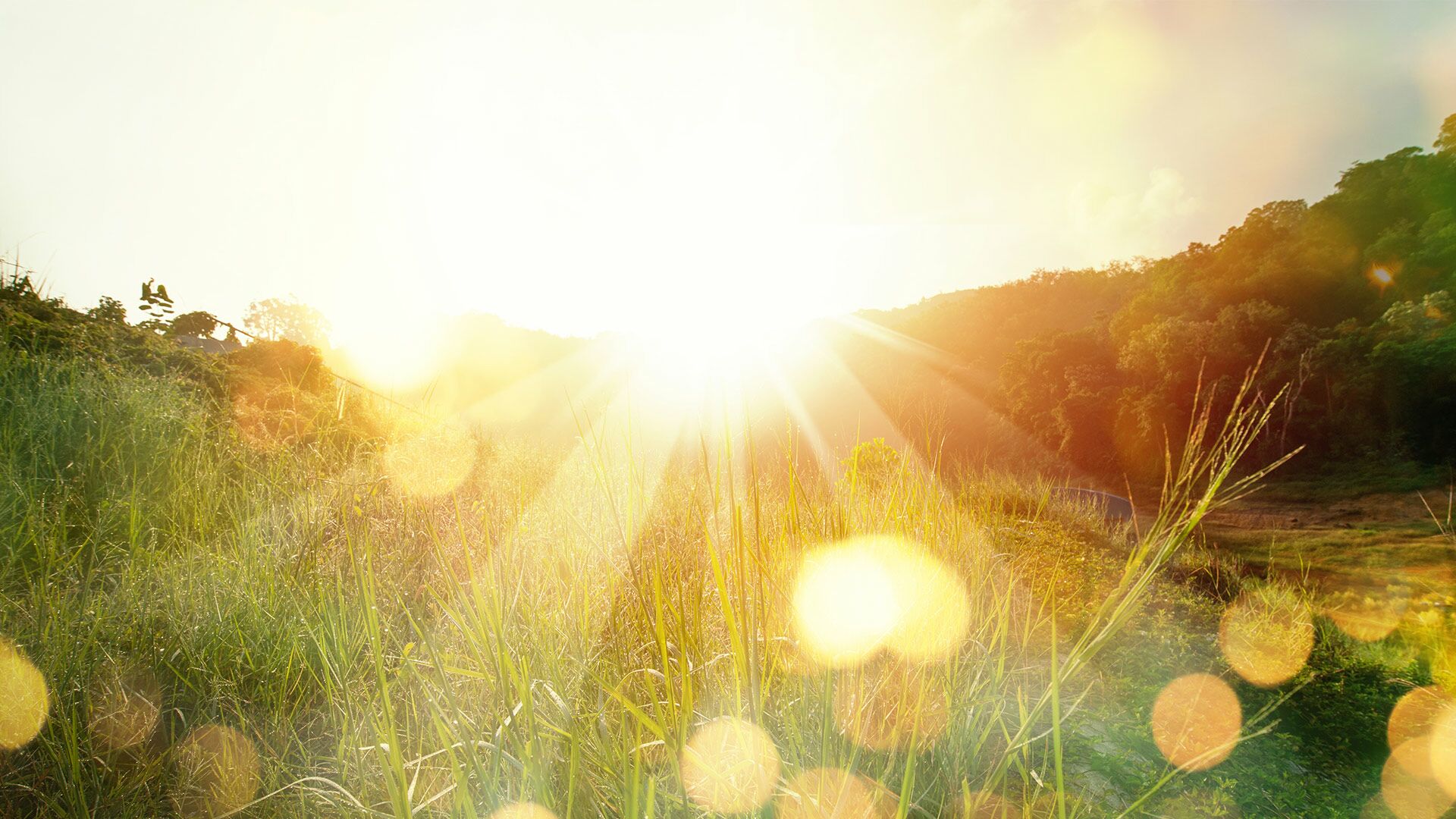 Human Centric Lighting B.E.G. Brück Electronic GmbH