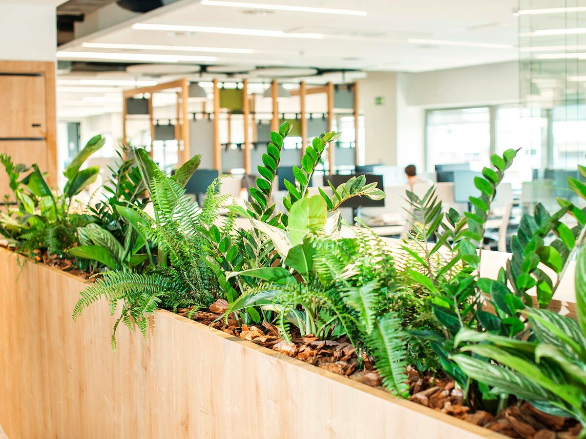 Reference projects B.E.G. Brück Electronic GmbH