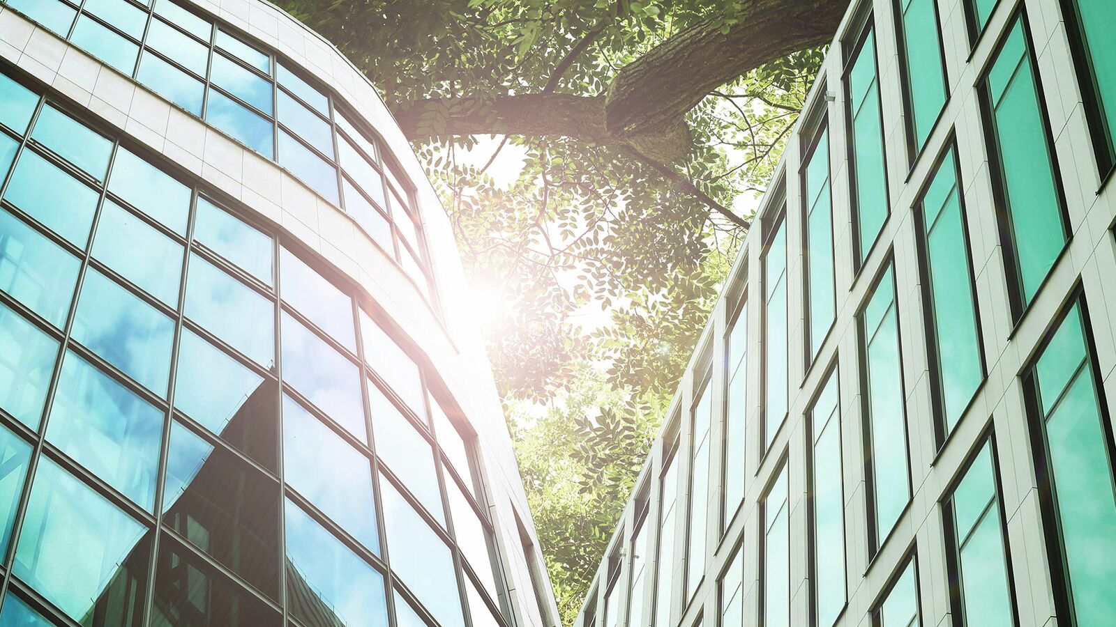 Bejelentkezés B.E.G. Brück Electronic GmbH